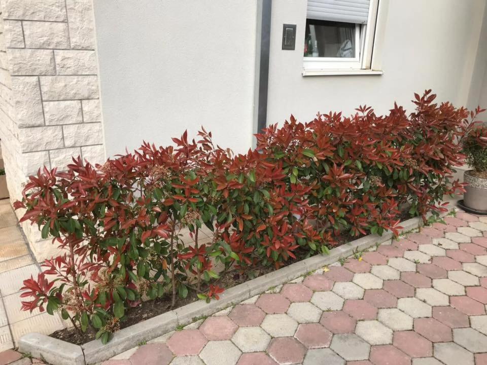 Apartmani Mane Trogir Extérieur photo